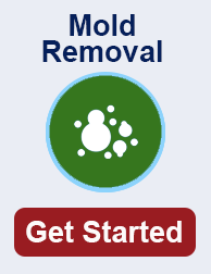 mold remediation in Georgia TN